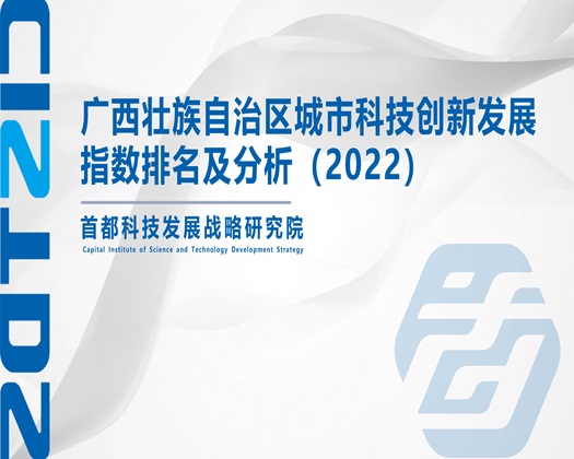 大鸡巴插丰满少妇阴道视频【成果发布】广西壮族自治区城市科技创新发展指数排名及分析（2022）